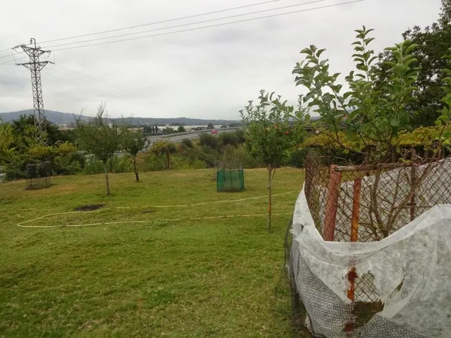 SE VENDE CASA SEÑORIAL PAREADA DE PIEDRA REFORMADA Y EN PERFECTO ESTADO EN PADRON — 39