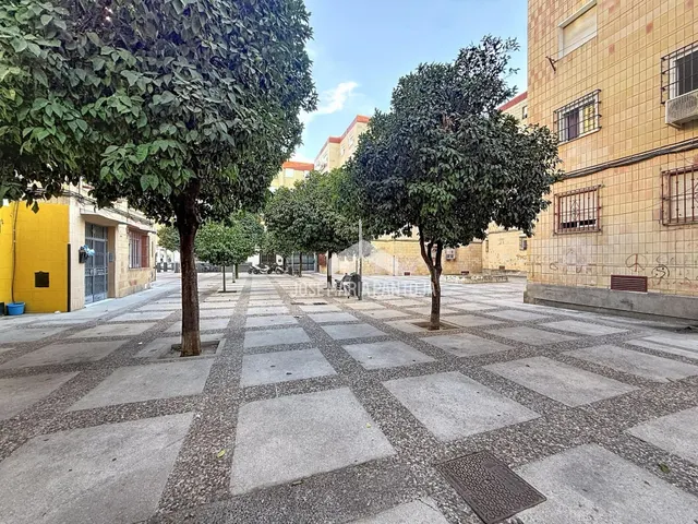 Piso en la granja — 17