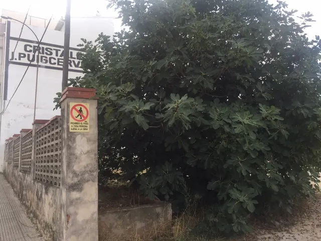 Parcela en venta en Pedreguer Center — 2