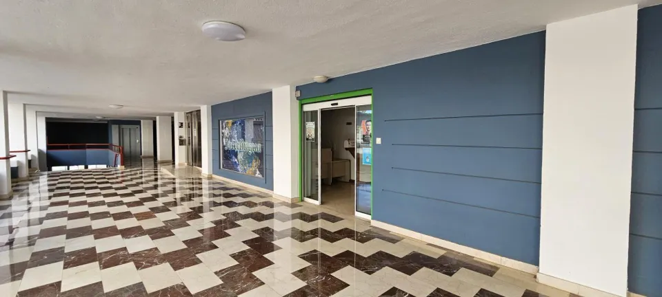 ¡Oportunidad única! Estupendo local en entreplanta en pleno centro de Elche
