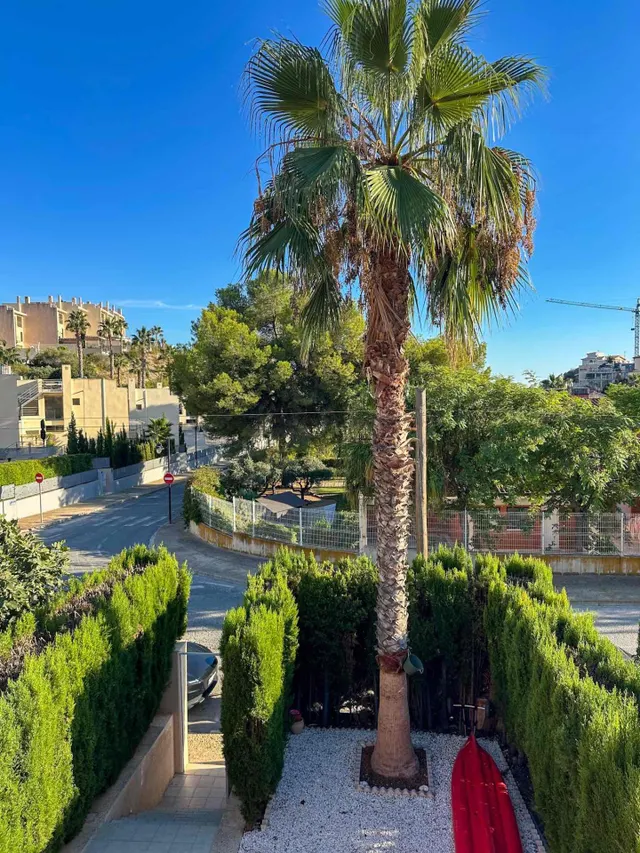 ALQUILER EN VENTA LANUZA · EL CAMPELLO — 8
