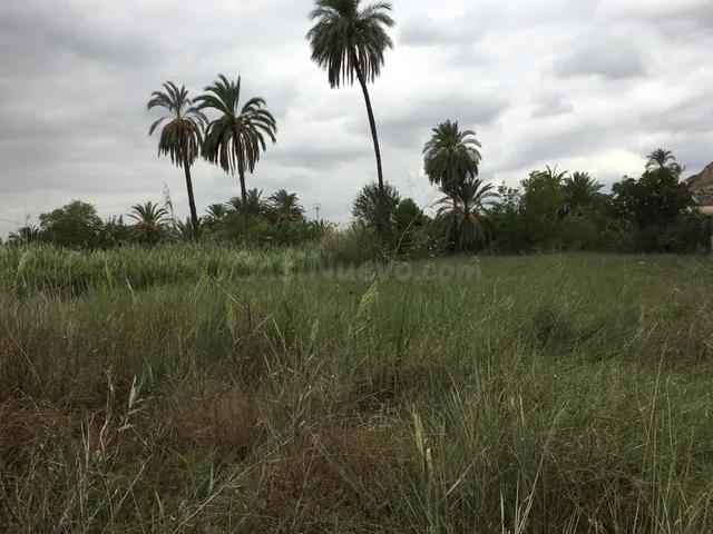 VENTA DE PARCELA RUSTICA EN CASILLAS