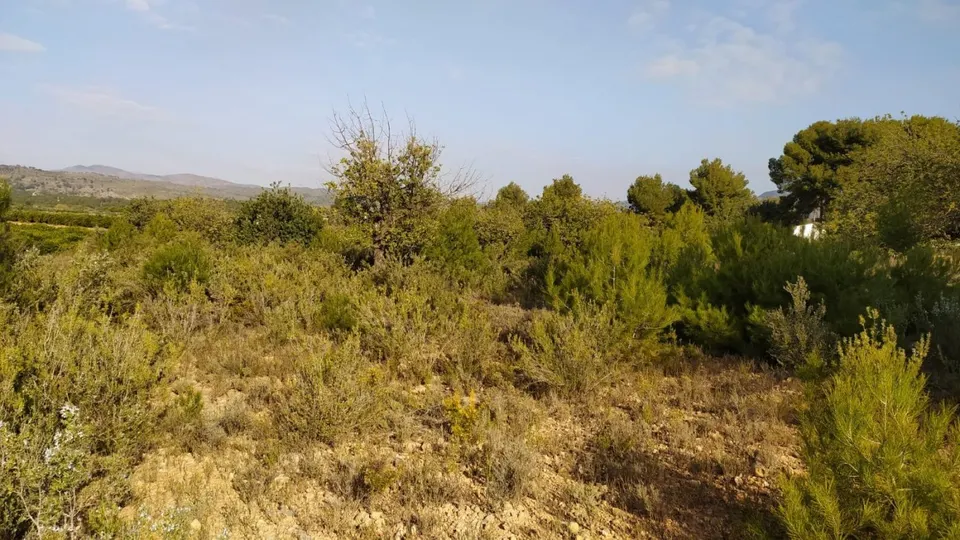 Se vende terreno de secano en Llíria. / HH Asesores, Inmobiliaria en Burjassot/