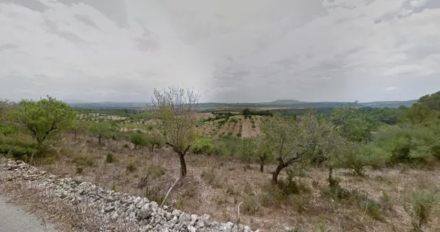 FINCA RUSTICA CON LICENCIA — 10