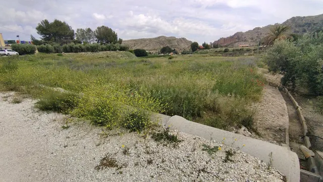 Parcela en venta - Calasparra - foto 3
