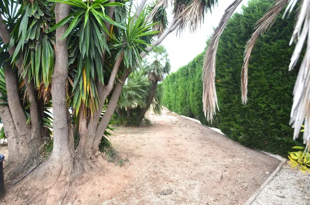 SE VENDE MAGNIFICA VILLA EN LA NUCIA — 40