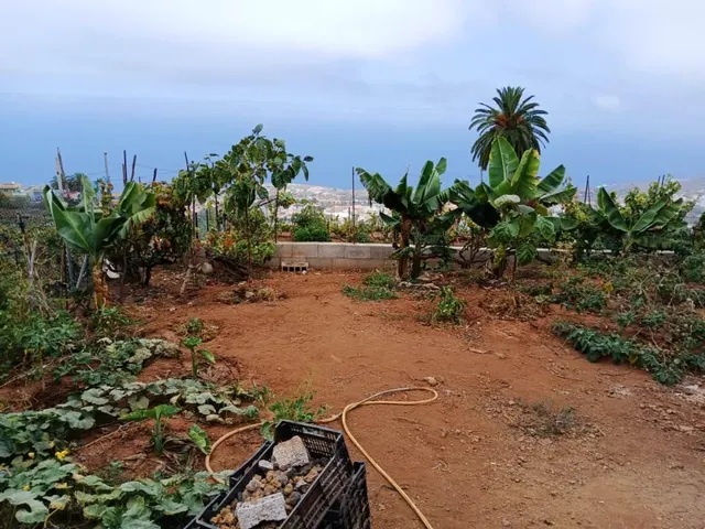 Terreno rural en La Corujera, Santa Úrsula — 8