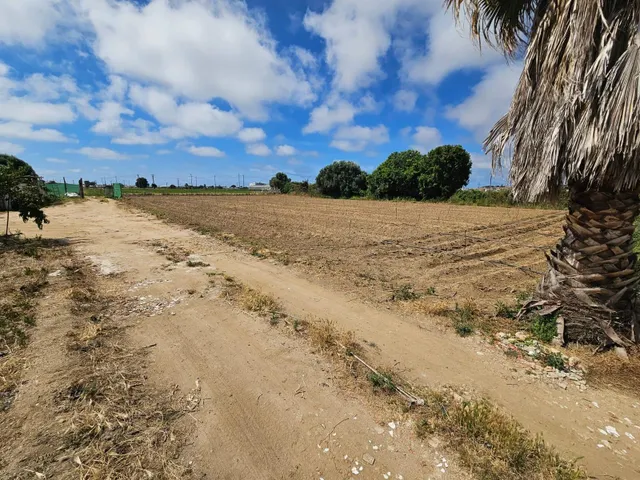 Terreno agricola en venta en Malgrat de Mar — 16