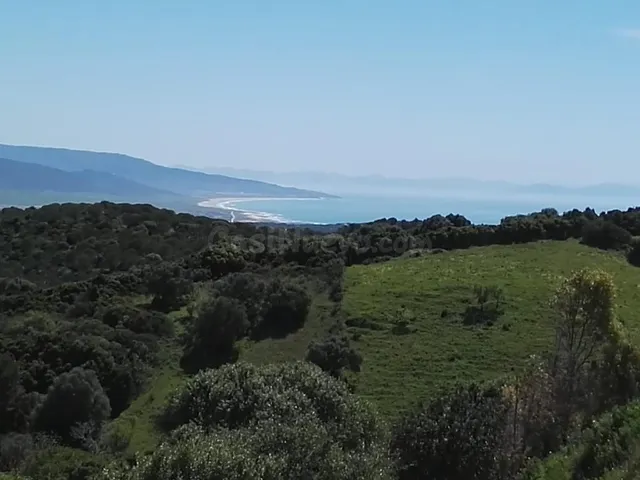 CASA CON TERRENO(RÚSTICO) EN VEJER DE LA FRONTERA - foto 4