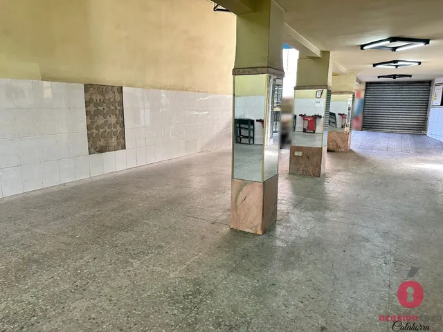 LOCAL COMERCIAL DE 300 METROS - JUNTO FACULTAD DE DERECHO — 3