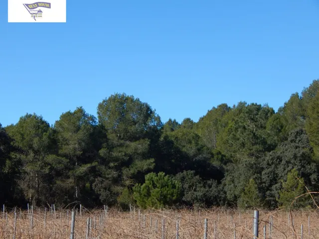 GRAN PARCELA URBANIZABLE EN PLENA NATURALEZA DE LA URB. HELIOS!!! — 3