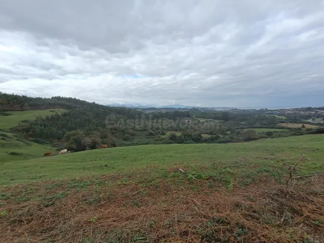 MÁS DE 5 Ha. DE NATURALEZA EN RUILOBA.- - foto 2