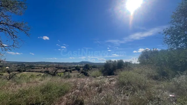 PARCELA RÚSTICA CON VISTAS Y LICENCIA - foto 4