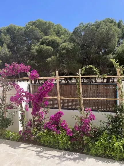 Apartamento 3 habitaciones 102m² en venta - San Javier — 17