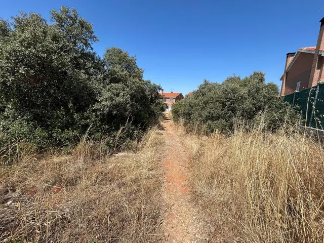 PARCELA EN EL BOSQUE DE HENARES PIOZ — 9
