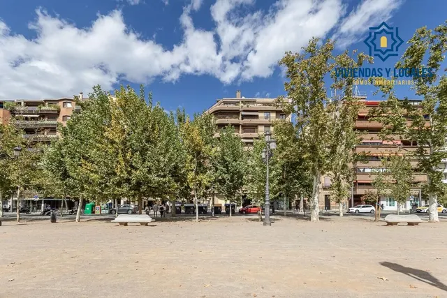 Pisazo en paseo del salón - Granada — 46