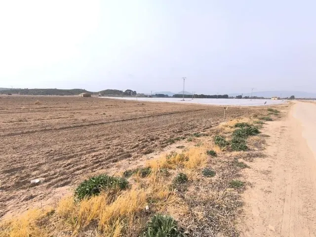 Parcela en venta - Centro - foto 3