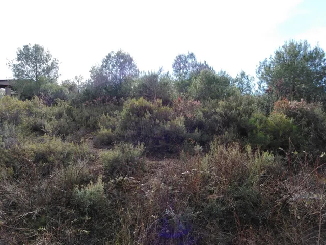 TERRENO EN VENTA EN RIVER PARK (EL PONT DE VILOMARA I ROCAFORT) — 6