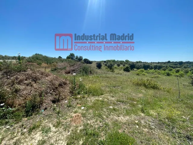 TERRENO EN ARGANDA DEL REY - foto 4