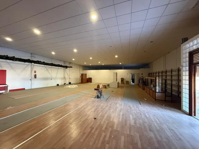 1.000 m2 DE NAVES INDUSTRIALES EN LOBÓN - foto 4