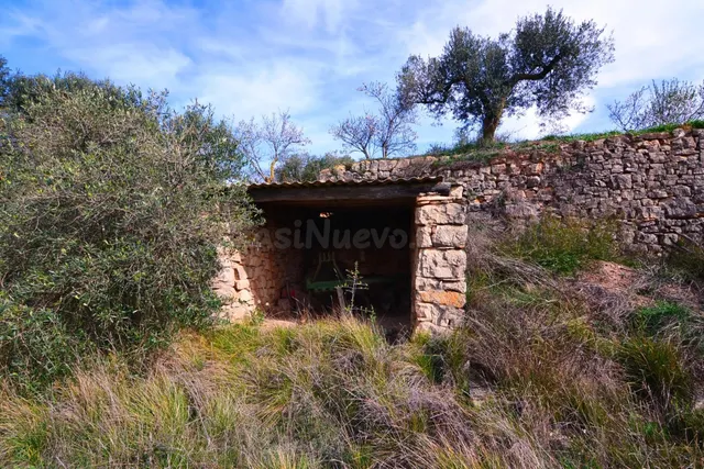 OPORTUNIDAD FINCA DE RIEGO CON PEQUEÑA construcción EN LA FA