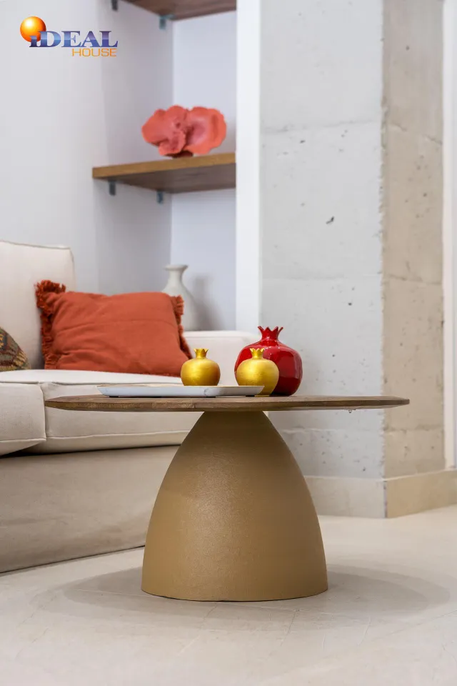 PRECIOSO ESTUDIO DE LUJO EN URBANIZACION TRIUNFO JARDIN — 11