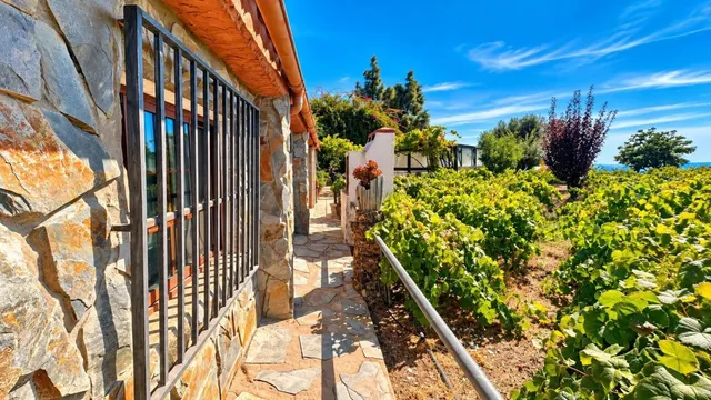 Finca exclusiva en Vilaflor · 2 viviendas, viñedo, bodega y piscina — 55