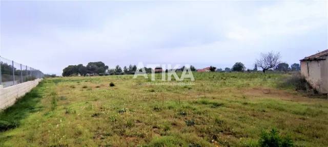 TERRENO EN VENTA A ESCASOS MINUTOS DEL PUEBLO - foto 5