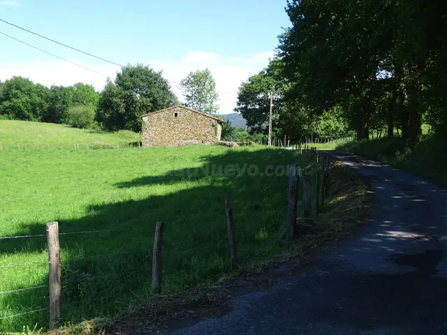 Cabaña en finca de 11.000 m2, accesible y bien conectada - foto 3