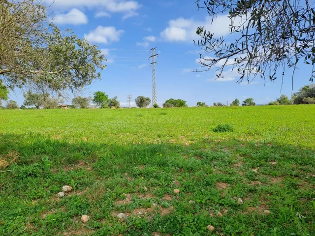 Terreno rural 13397m² en venta - Terrassa - foto 5