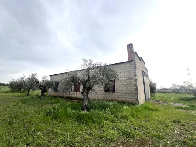 PARCELA CON NAVE EN COTO PERRERO (DON BENITO) - foto 2