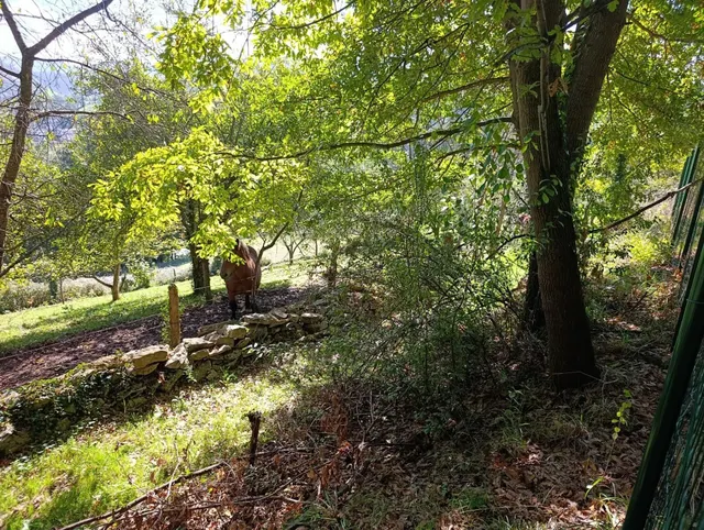 Terreno urbano en venta - Trubia — 34