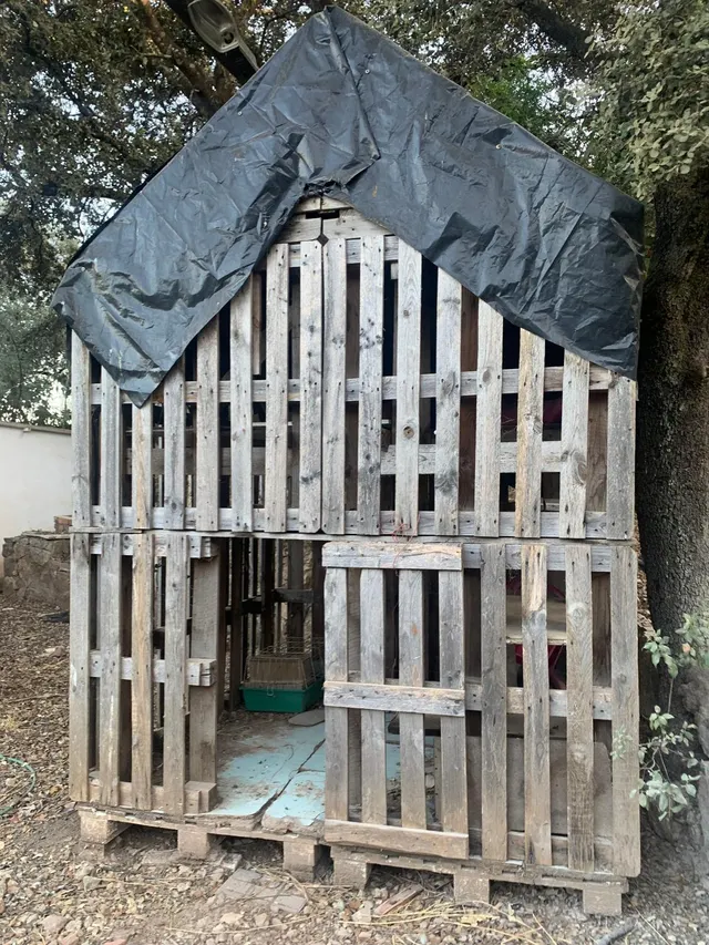 PARCELA ZONA DOÑA MANUELA — 11