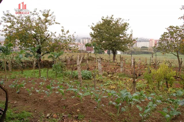 CASA CON PARCELA EN LA ZONA DE LA CUÑA — 2