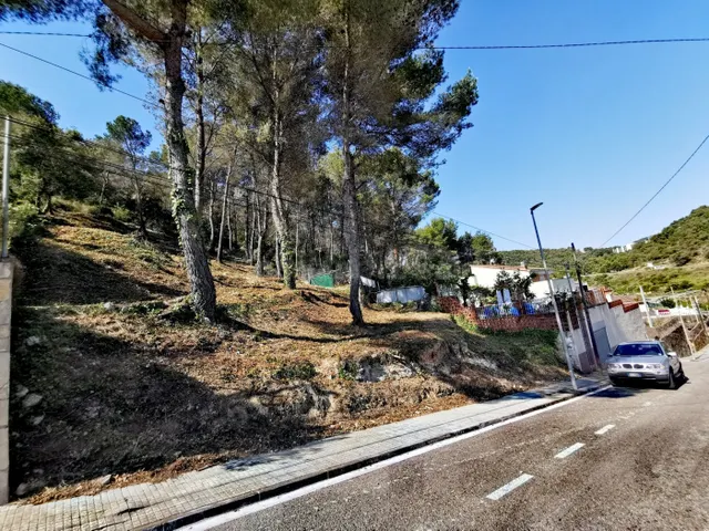Amplio, con vistas y cercano al pueblo de Canyelles — 5