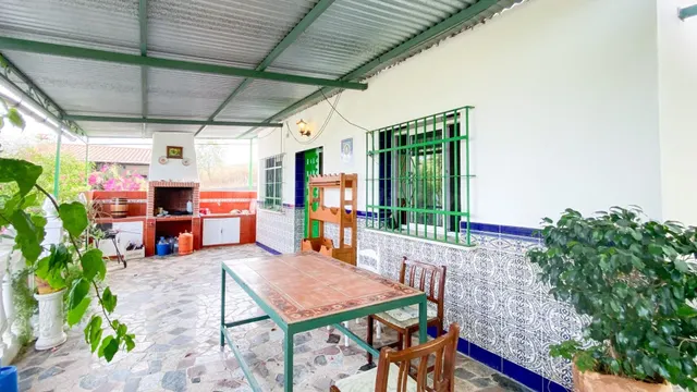 FINCA DE USO AGRARIO CON CASA EN COÍN. MÁLAGA - foto 4