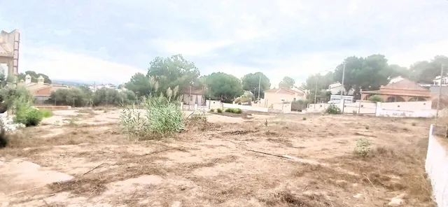 SE ALQUILA PARCELA VALLADA A DOS CALLES DE 3600 MTS2 CON NAVE DE 30O MTS2  EN VISTABELLA  A  10 KMS. DE TORREVIEJA — 9