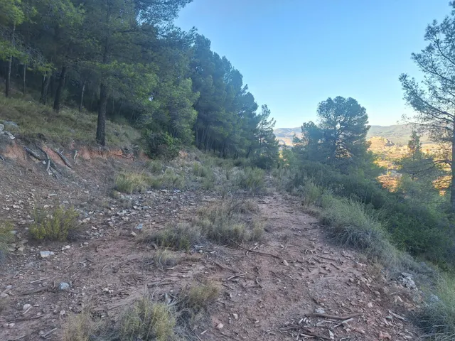 Finca rústica forestal en venta con vistas panoramicas · Castalla (Alicante) — 5