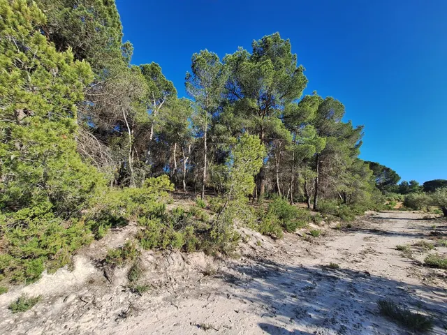 Finca rústica, georreferenciada catastralmente, de 22.641 m2 - foto 5