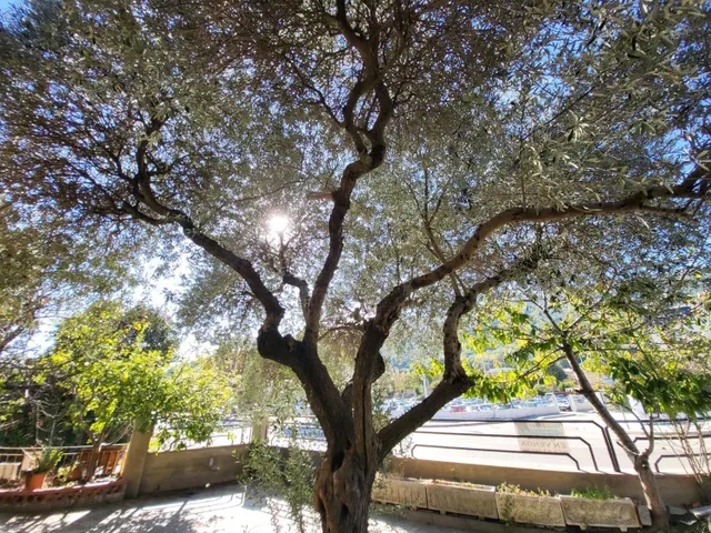 Chalet 5 habitaciones 473m² en venta - Cataluña — 11