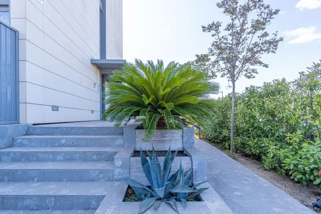 PLANTA BAJA DE LUJO — 44