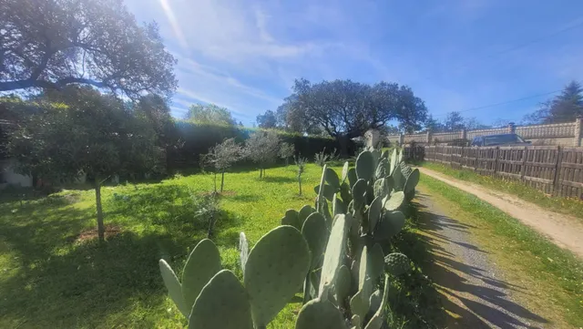 CASA DE CAMPO CON ESCRITURAS EN MONTE DEL CASAR — 40