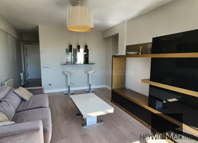 ESTUDIO HOME MADRID OFRECE estupendo piso, completamente ref - foto 3
