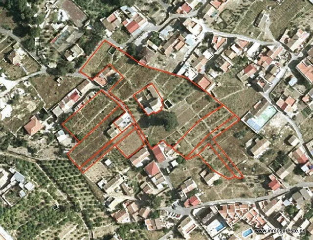 Estupenda finca de 12.441 m2 en Raiguero de Bonanza, pedanía de Orihuela (Alicante), a 2 Km. de Orihuela. — 4