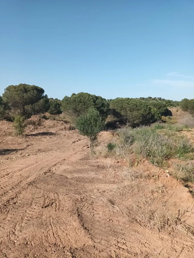 Parcela en Venta en Av. Rosalía de Castro, Costa Esuri - foto 5