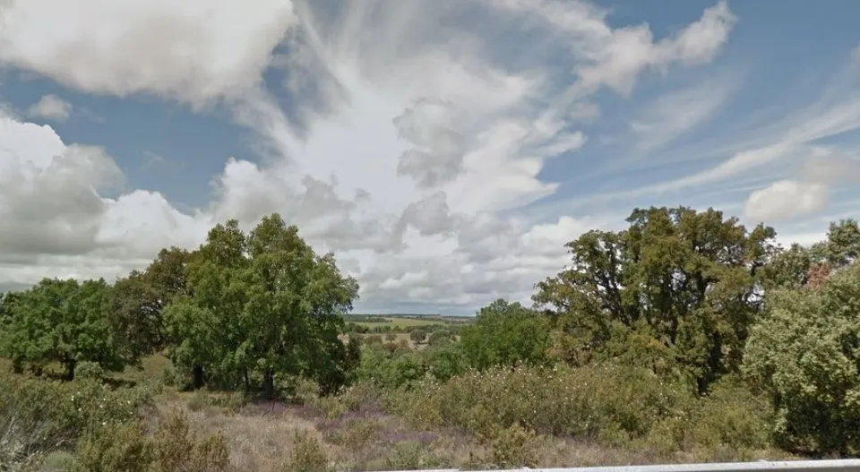 Urbis te ofrece una parcela en Peleas de Arriba, Zamora.
