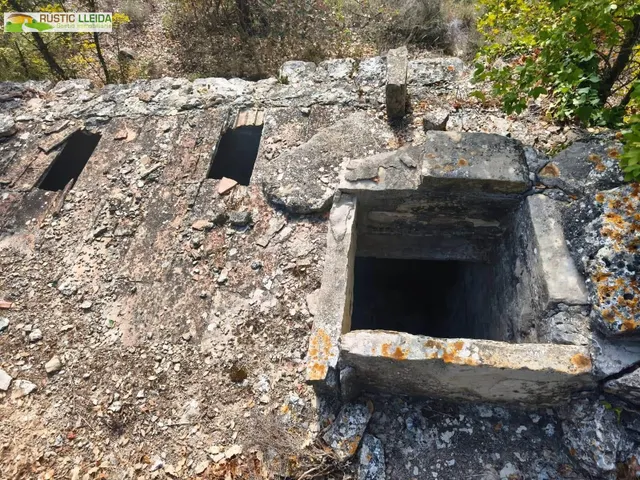 Finca rústica en venta cerca del monasterio del tallat, con cabaña de piedra. — 6