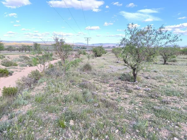 Parcela en venta - Castilla la mancha - foto 4