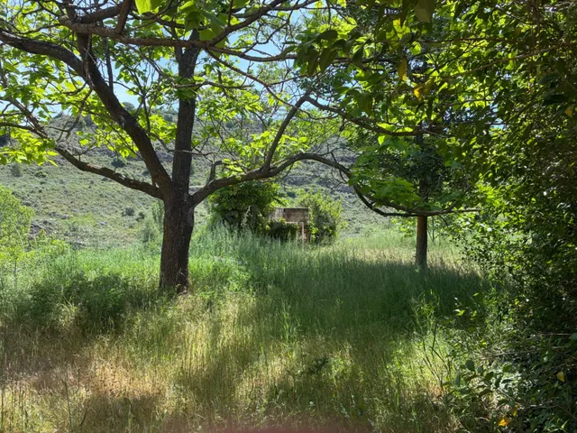 PARCELA URBANA EN VENTA EN UNCASTILLO - 17.700 M2 - foto 2
