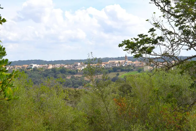 Finca rústica con posibilidad de vivienda en Llubi — 13